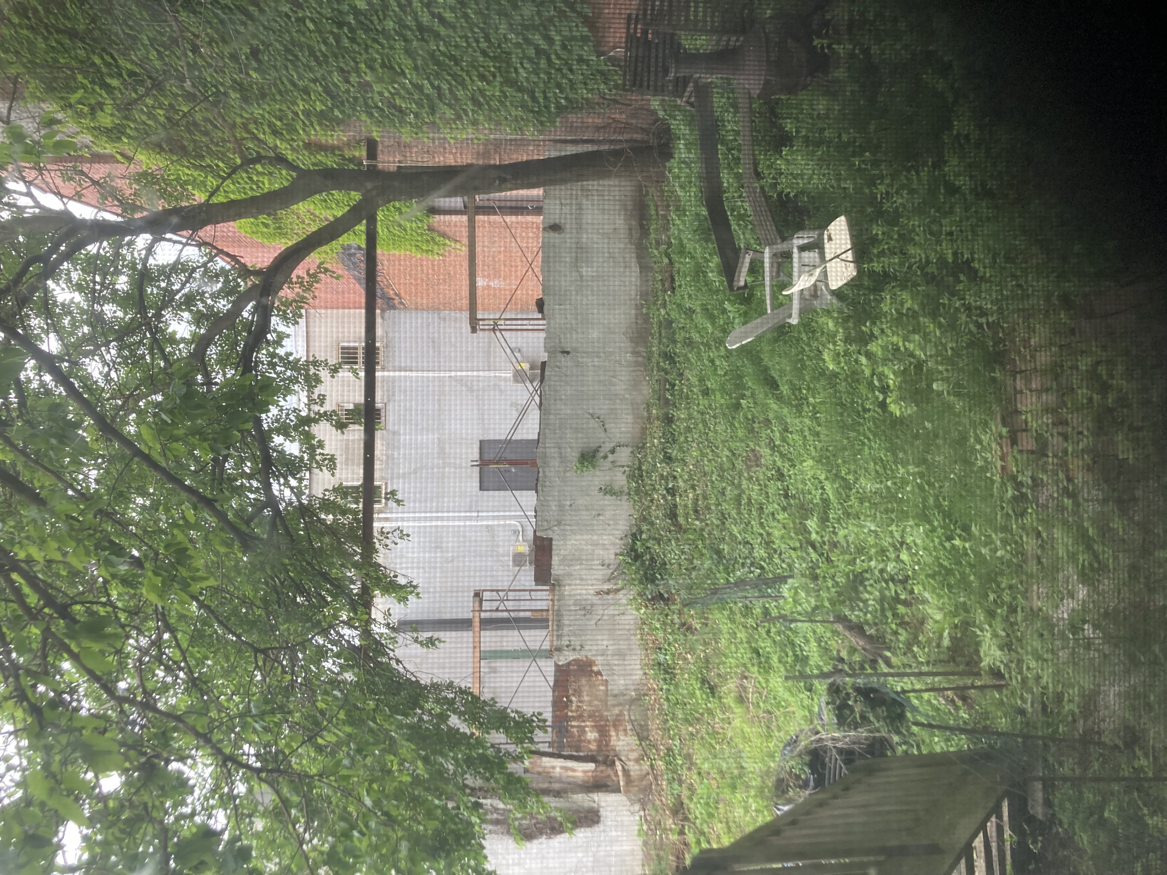 photo of a wall